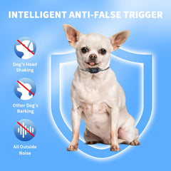 RICIVI anti-bark collar small dog demonstrating sound and vibration modes
