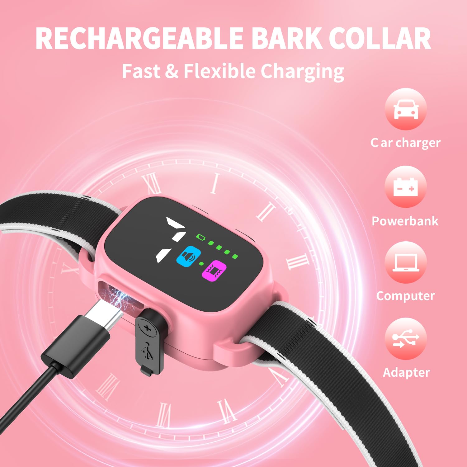 RICIVI collar uses Type-C charging for quick readiness.