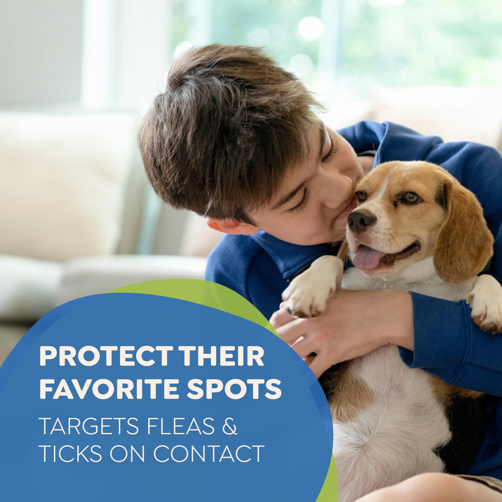 Riddy indoor-outdoor spray applied to living areas for pet protection.