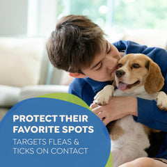 Riddy indoor-outdoor spray applied to living areas for pet protection.
