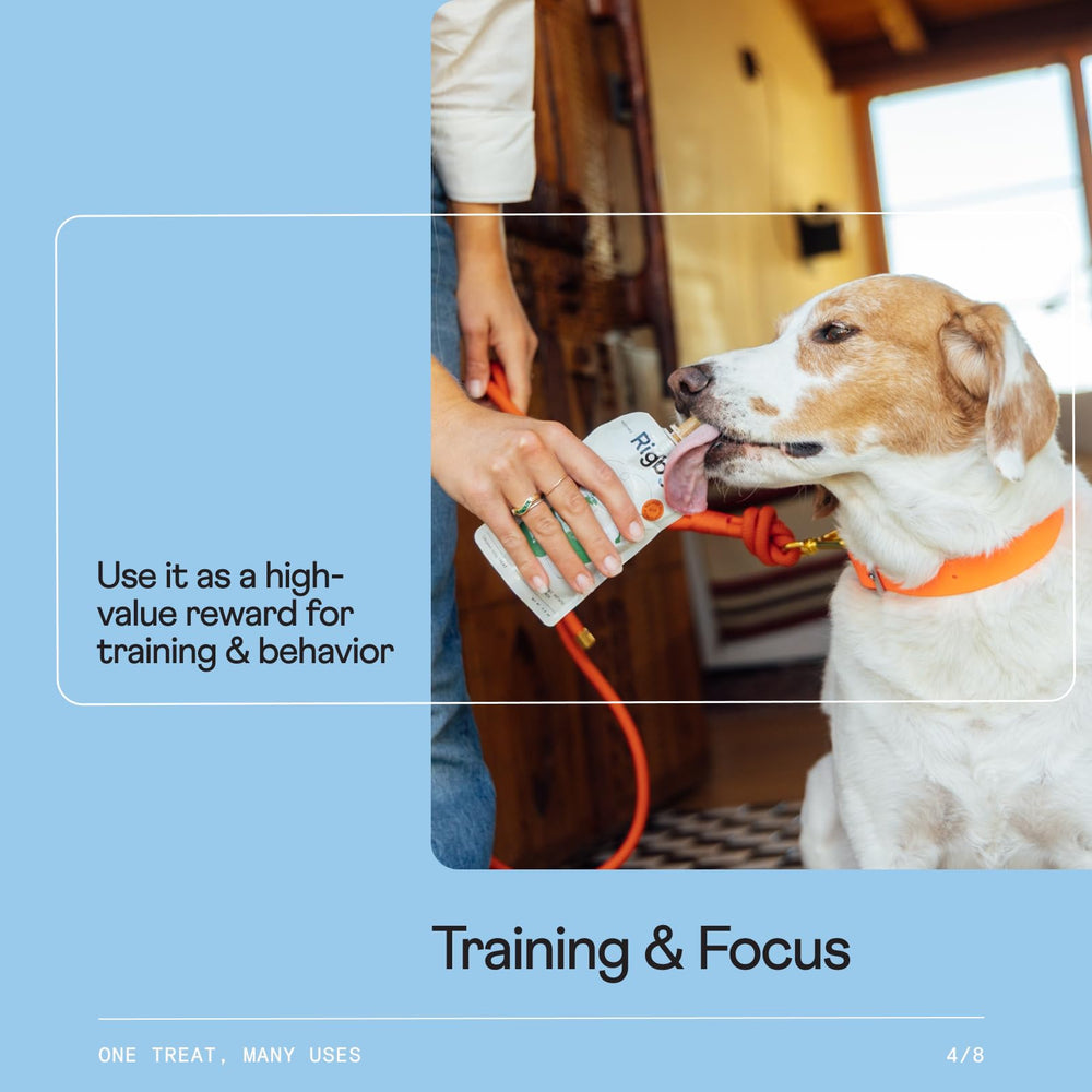 Rigby training reward on-the-go illustrates easy-squeeze recalls.