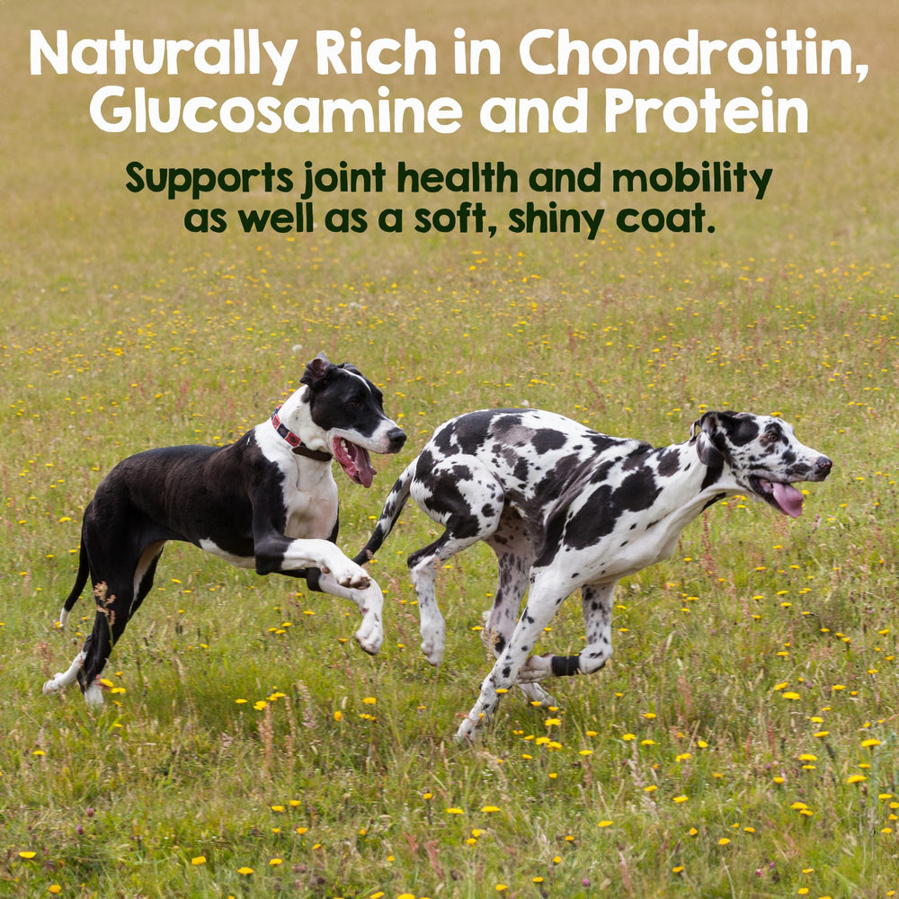 Riley's 100% beef pizzle chews provide a rawhide-free option for dogs.