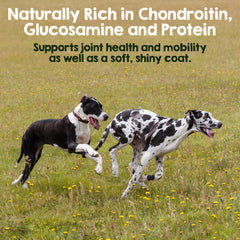 Riley's 100% beef pizzle chews provide a rawhide-free option for dogs.