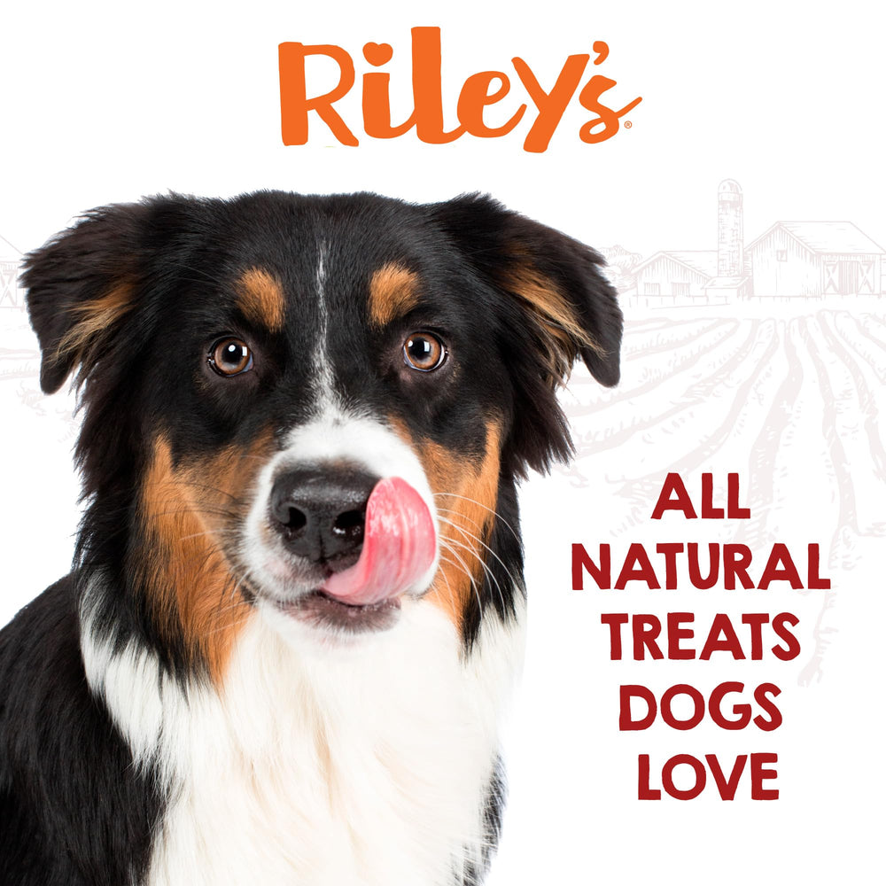 Riley's 5-count dog chew bag ready for road trips