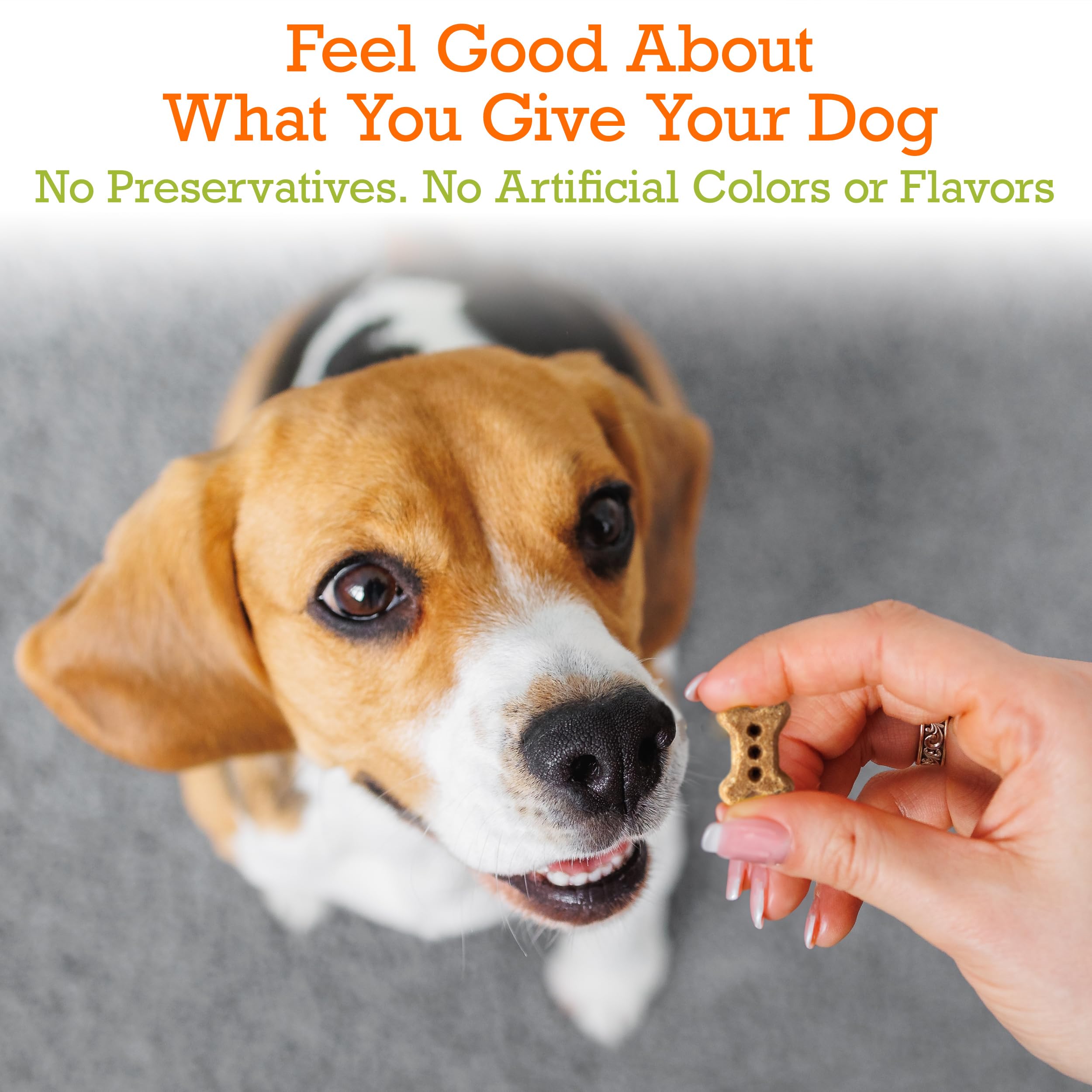 Riley's apple-dog-treats closeup of crispy texture for dental-friendly snacking