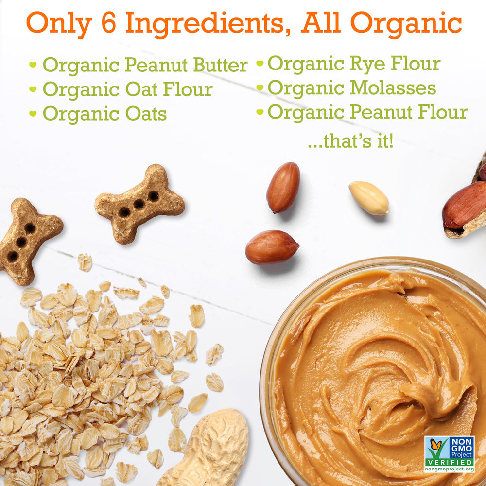 Riley's dog biscuits closeup highlights crunchy texture for small dogs