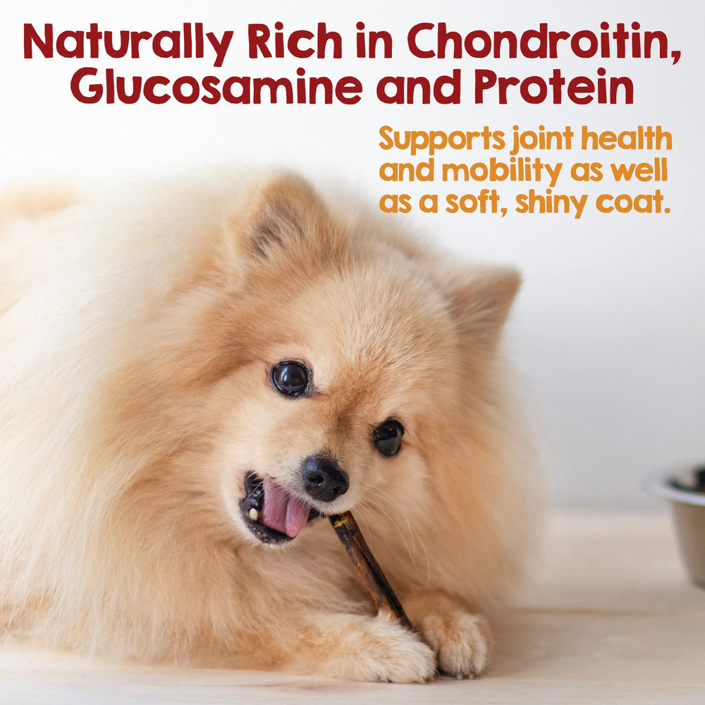 Riley's bully-stick alternative provides a safe single-ingredient chew without rawhide