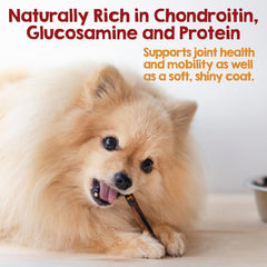 Riley's bully-stick alternative provides a safe single-ingredient chew without rawhide
