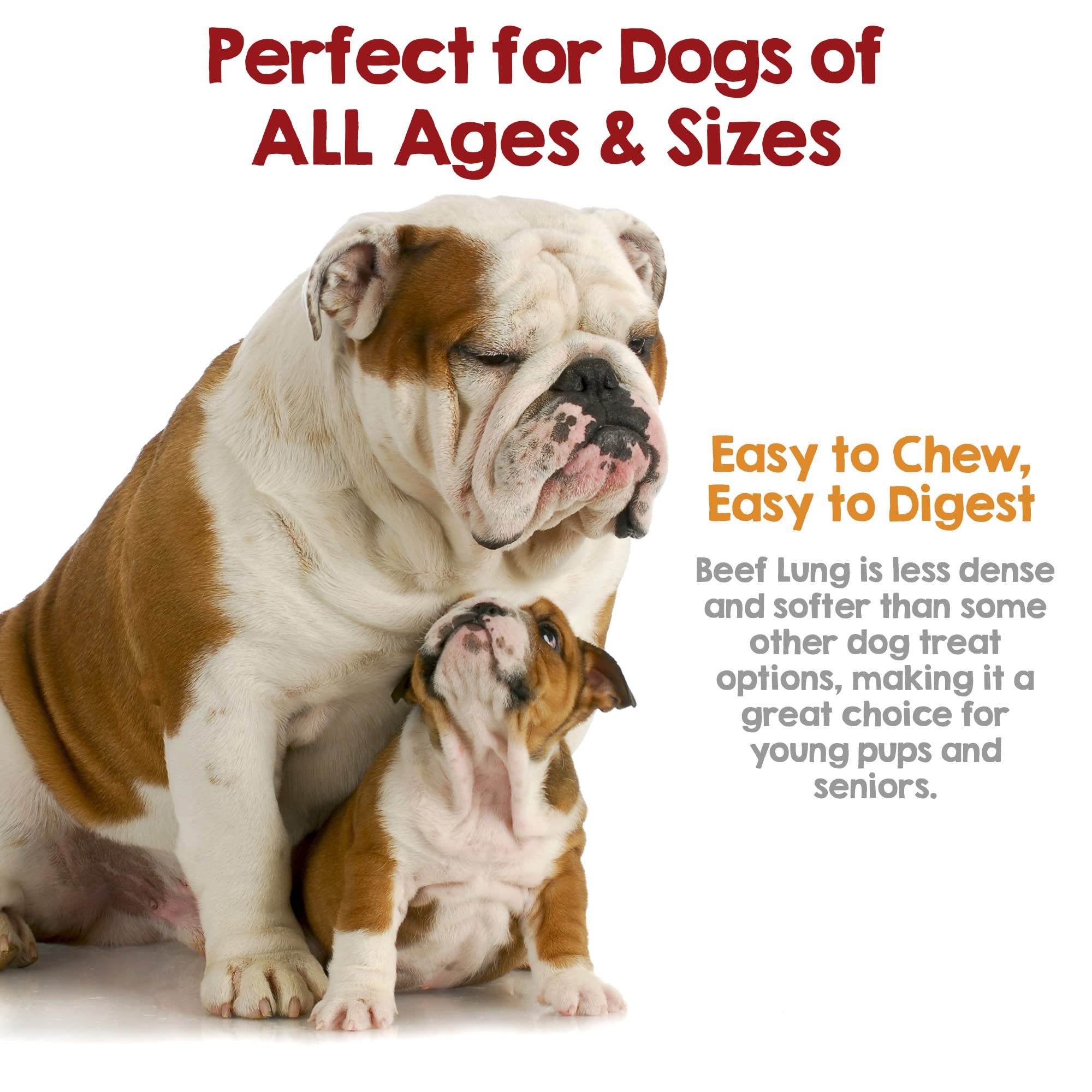 Riley's Dehydrated Beef Lung Treats USA-sourced label highlights quality origin.
