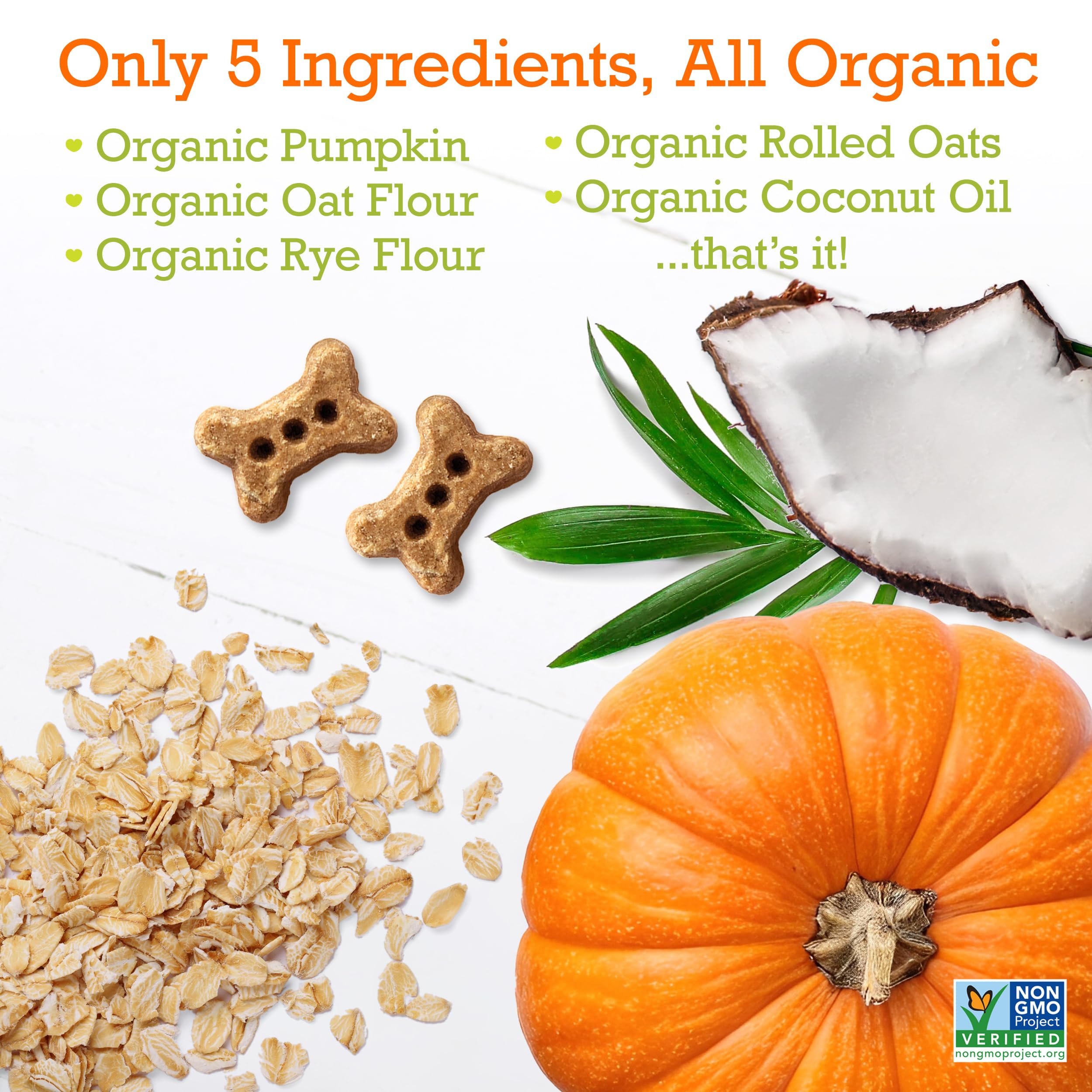 Riley's pumpkin coconut mini bone biscuits for rewarding good behavior.