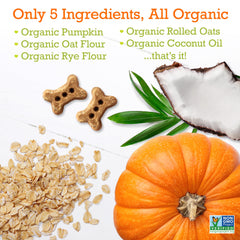 Riley's pumpkin coconut mini bone biscuits for rewarding good behavior.