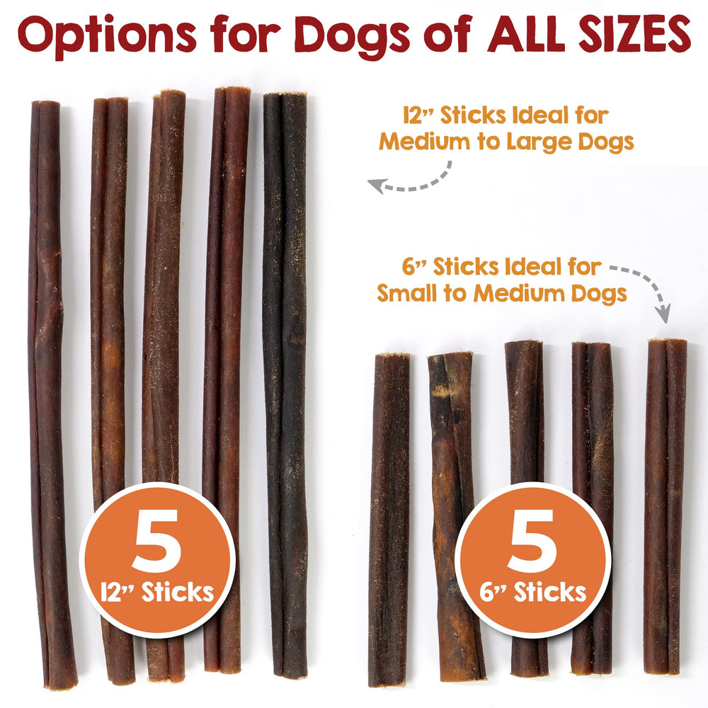 Riley's dog chewing collagen stick in action demonstrates long-lasting entertainment