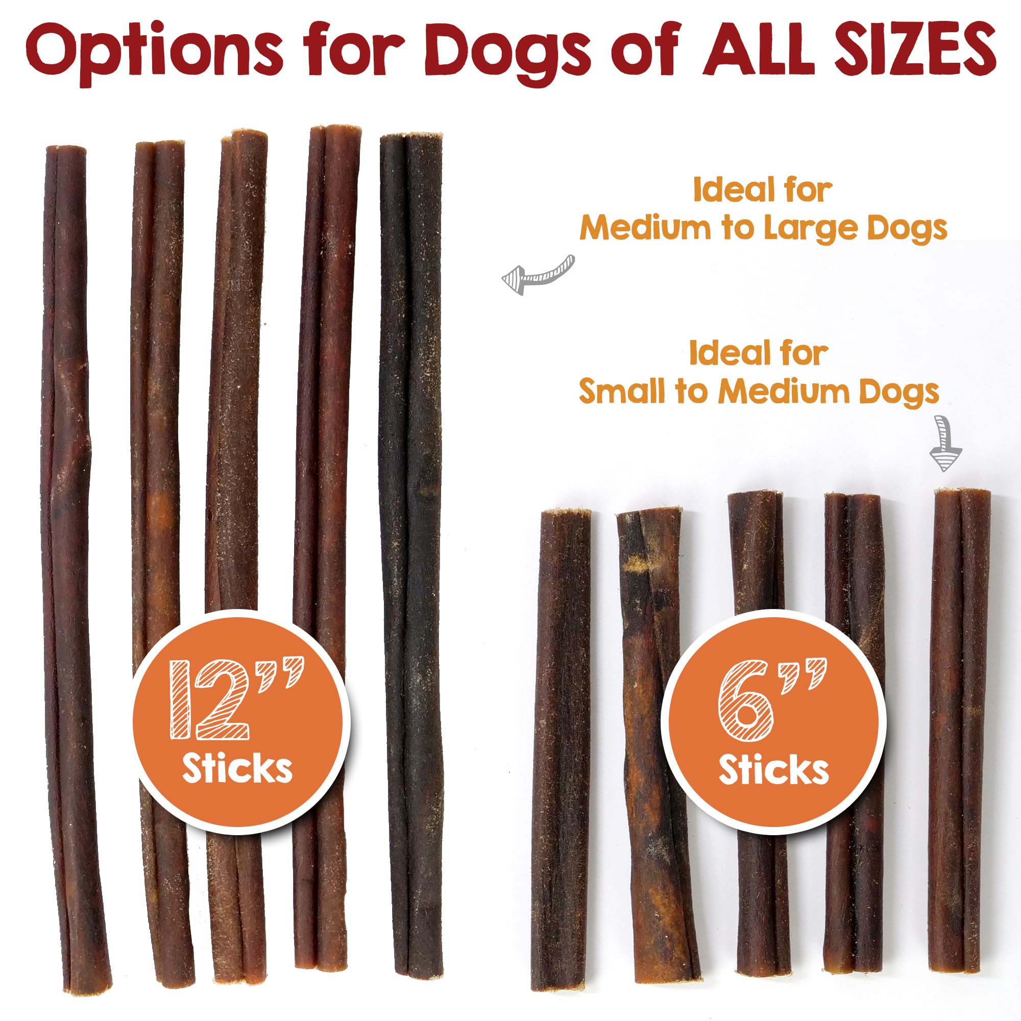 Happy dog chewing Riley's collagen stick, illustrating joint mobility