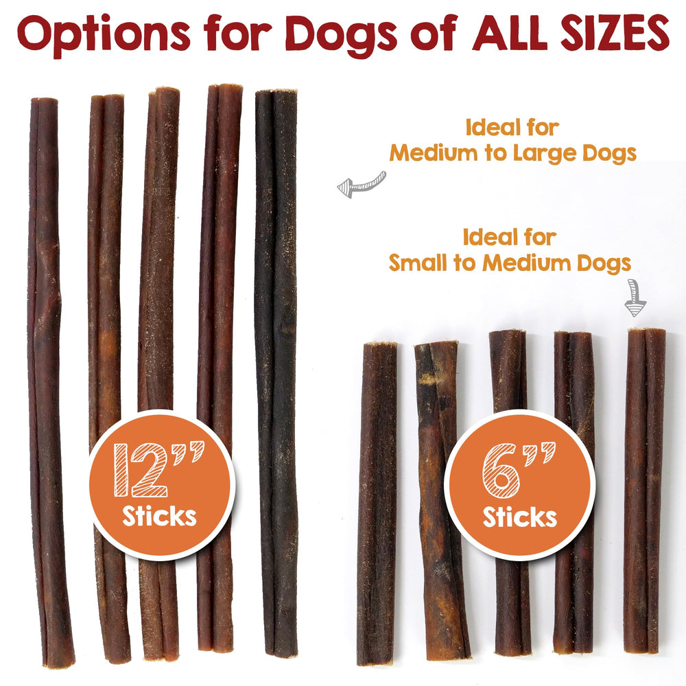 Happy dog chewing Riley's collagen stick, illustrating joint mobility
