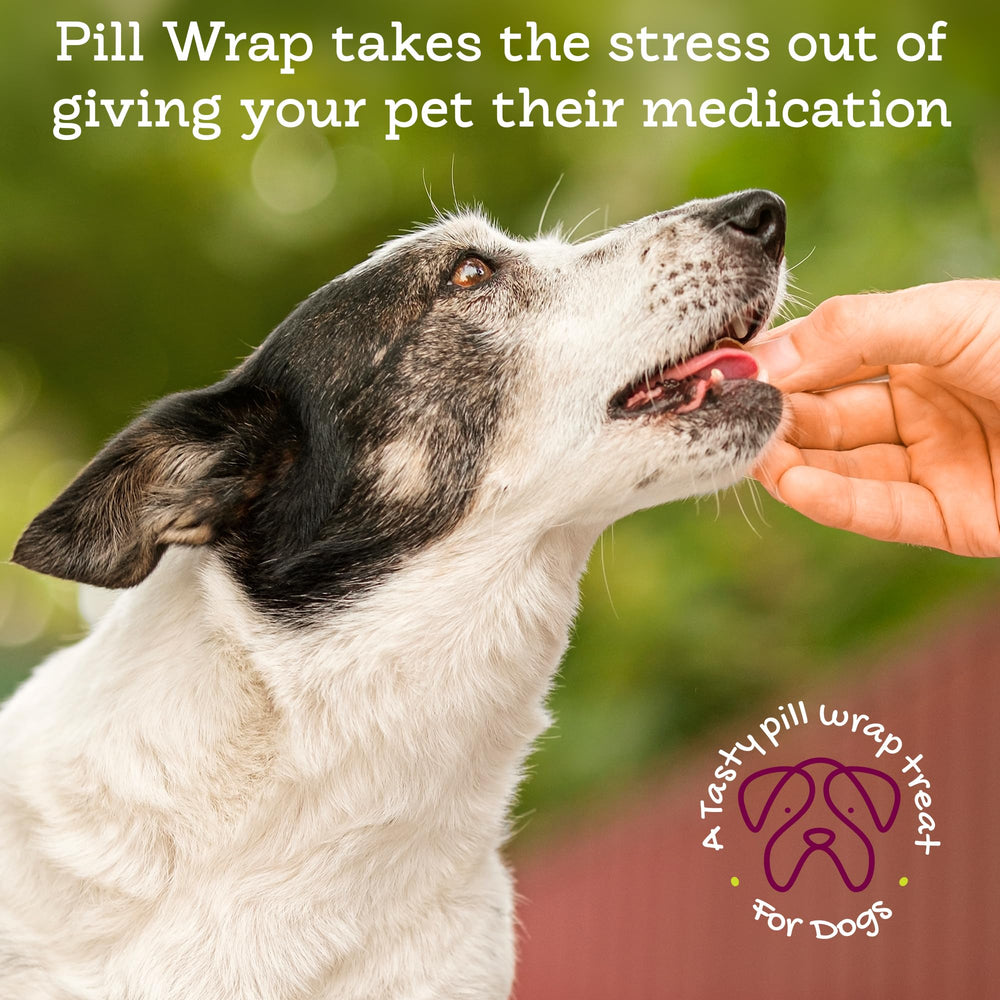 Riley's Pill Wrap cheese-bacon flavor masking medicines for dogs