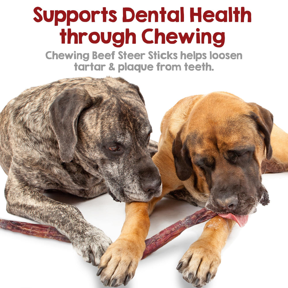 Riley's rawhide-free, gluten-free chew suits dogs seeking natural treats.