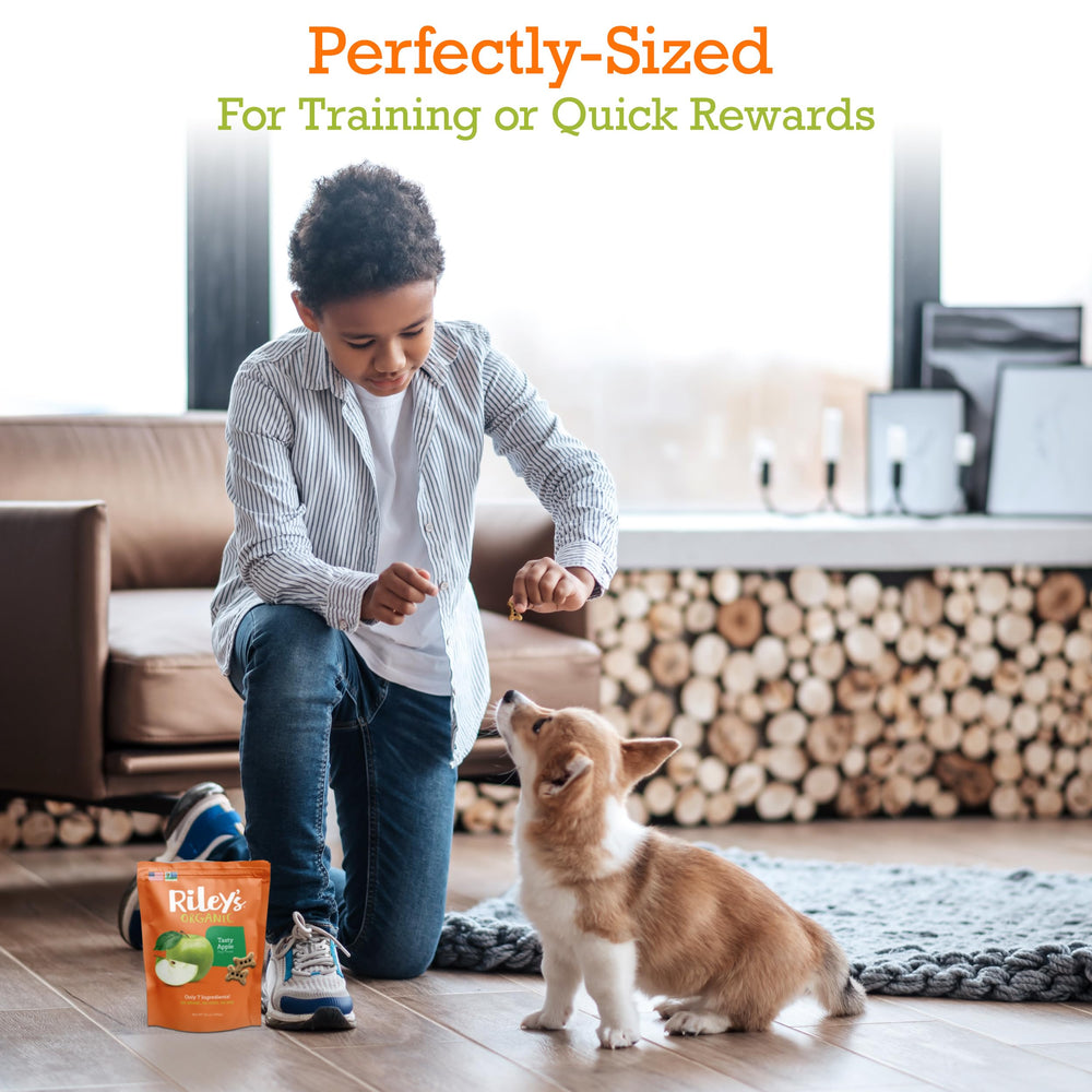 Riley's small-dog treats apple for tiny breed training rewards