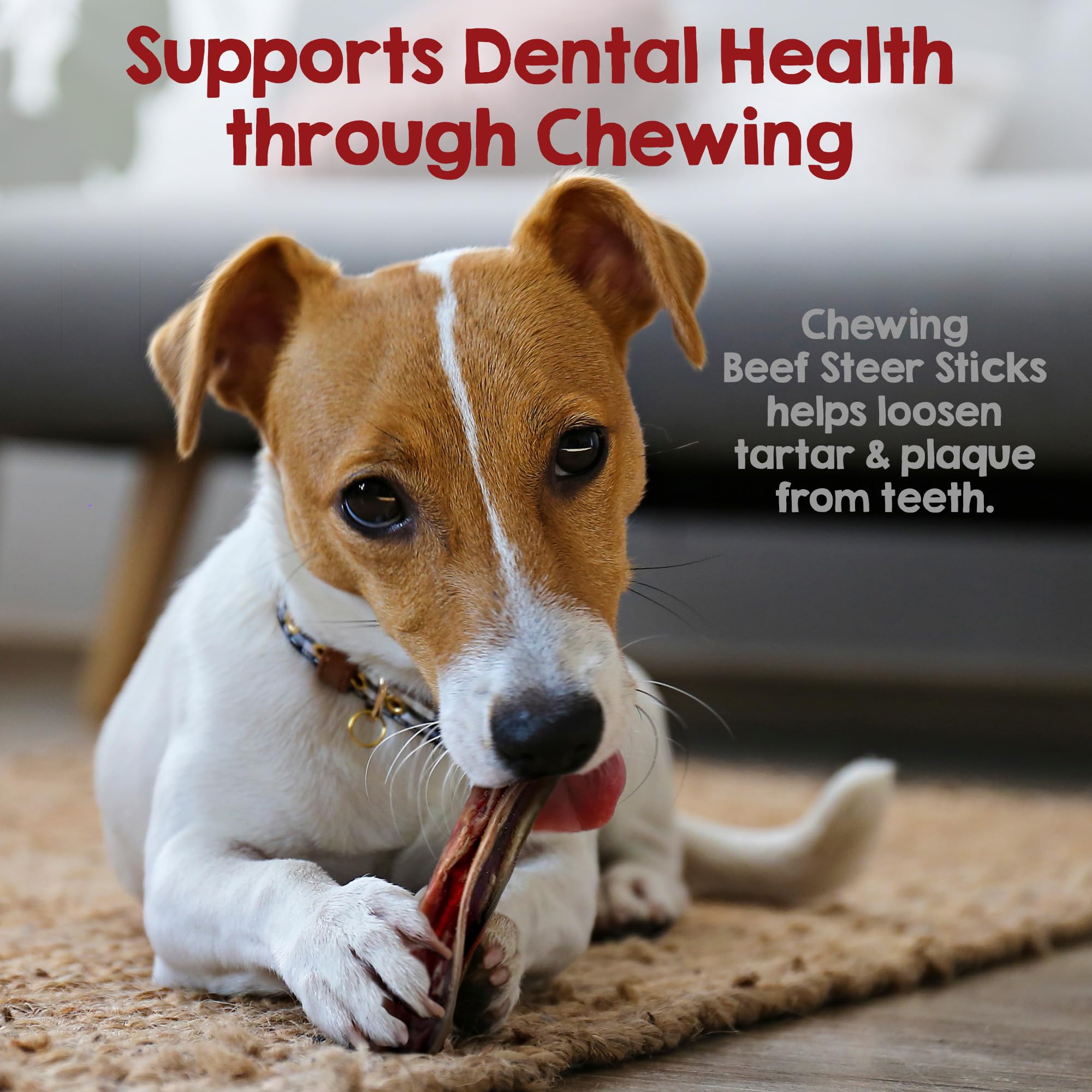 Riley's steer bully sticks USA-made label and quality seal