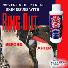 Ring Out ring-out-32oz-bottle-label shows concentrated, ready-to-use solution.
