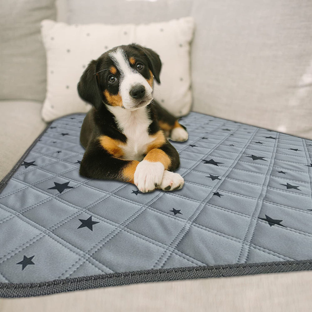 RIOUSSI versatile puppy pad for whelping, travel, protection.