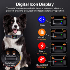 Riroga IP68 waterproof dog collar ready for swimming and rain training