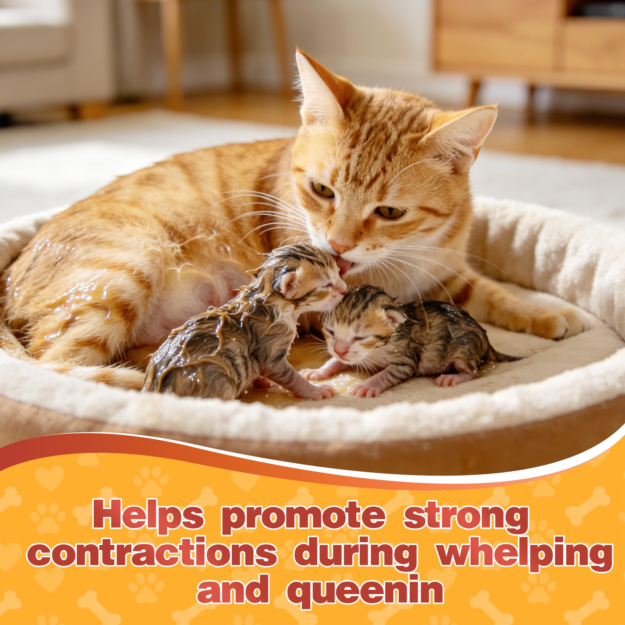Riteeu calcium paste tube promotes milk production in nursing pets.