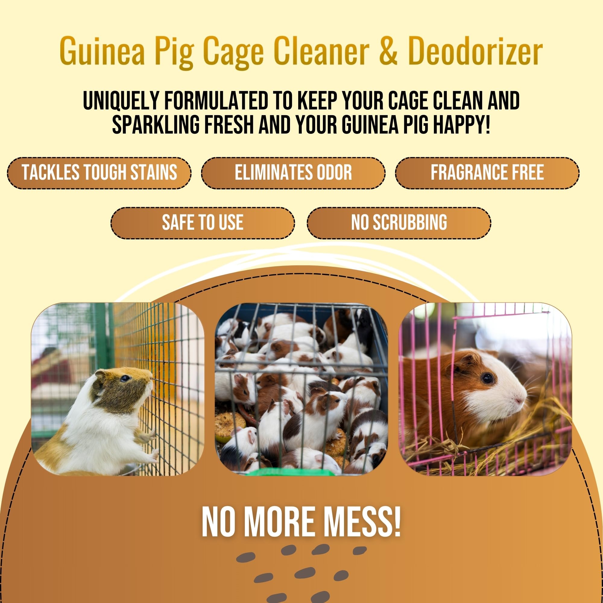 Guinea pig cage after cleaning with Riverside Essentials; fresh appearance.