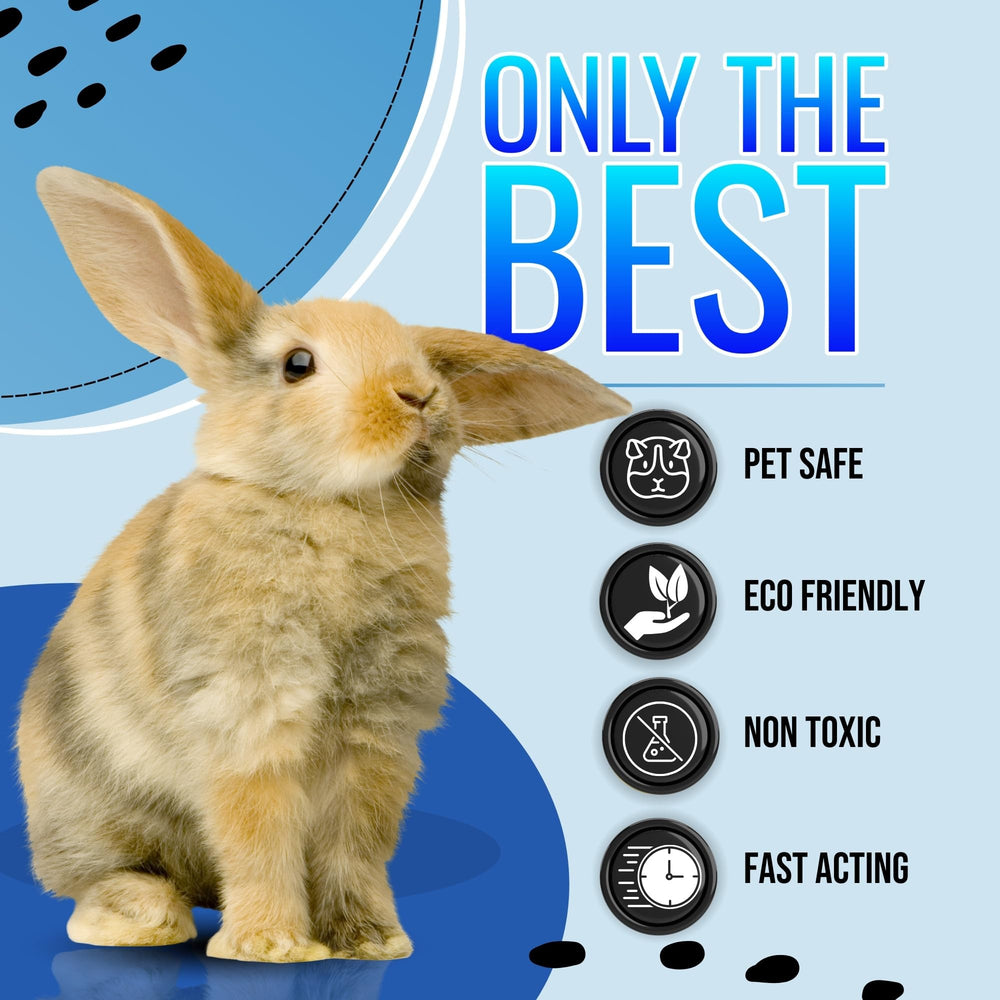 Riverside Essentials bunny litter box cleaner tackles urine stains safely
