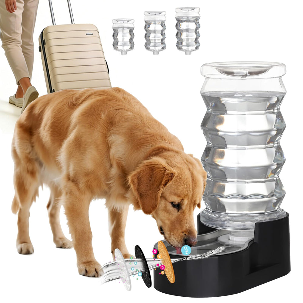 RIZZARI 8L capacity dog water dispenser with base view for multi-dog homes.