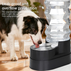 RIZZARI BPA-free body and stainless steel top promote clean, durable drinking water.