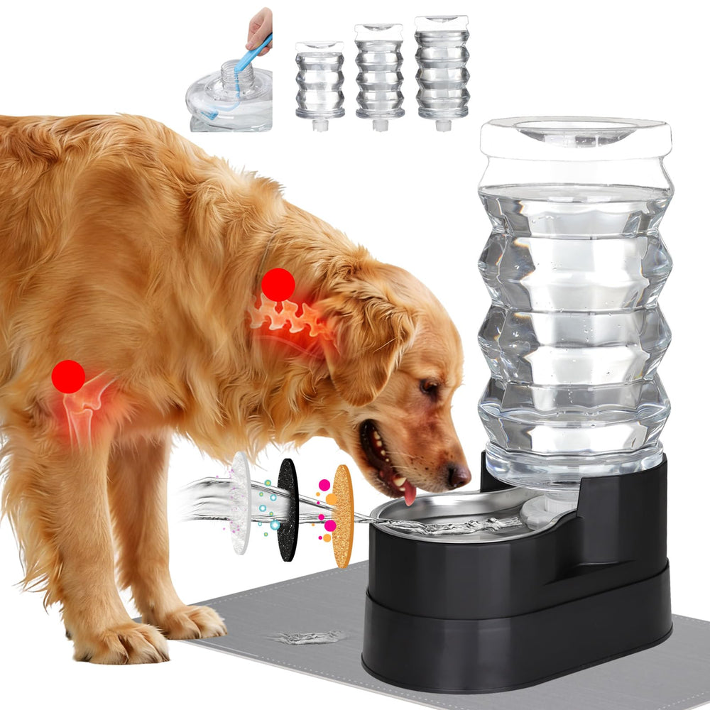RIZZARI 9L dog water dispenser with elevated design aids easy access for senior dogs.