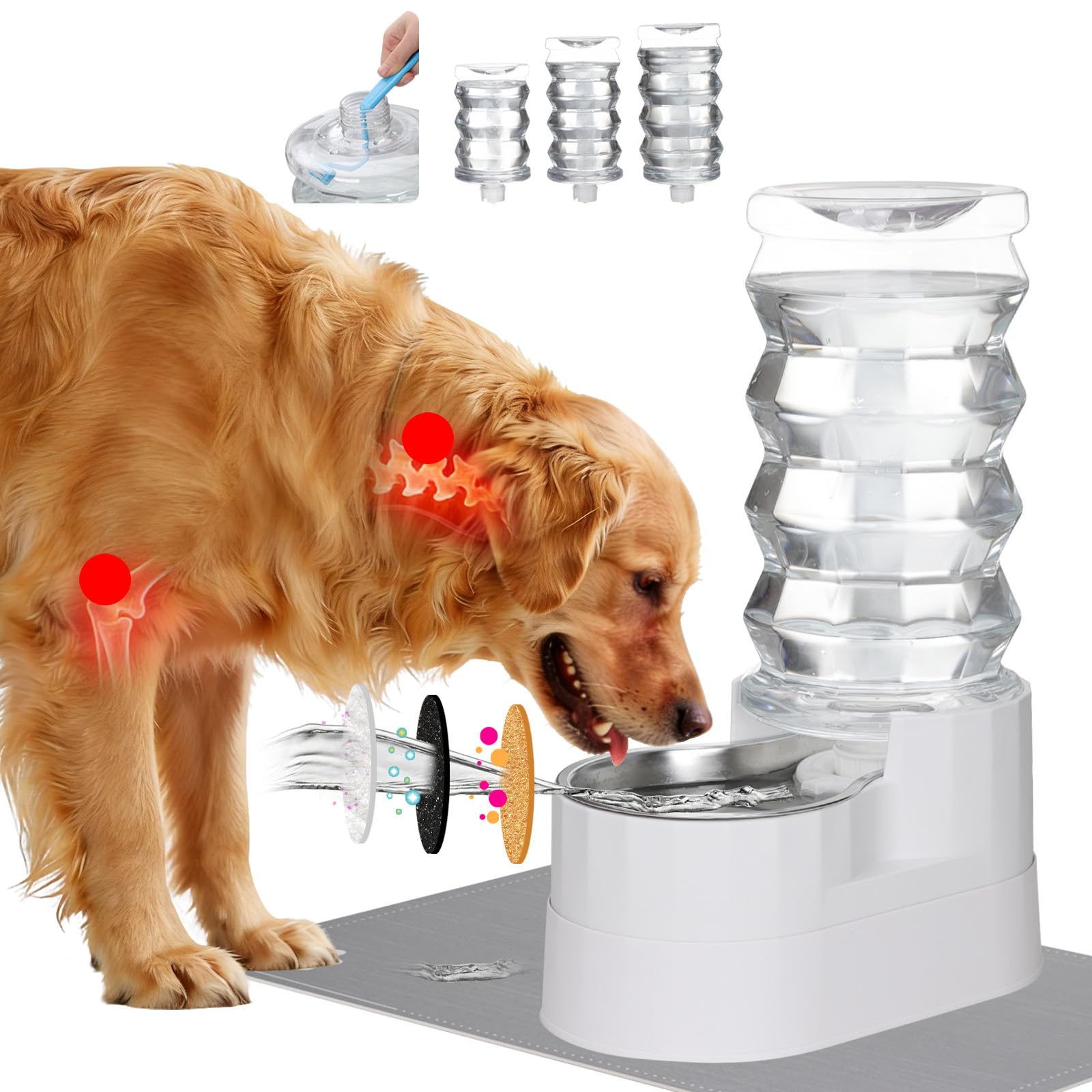 RIZZARI 8L automatic pet waterer on display, ideal for multi-pet homes.