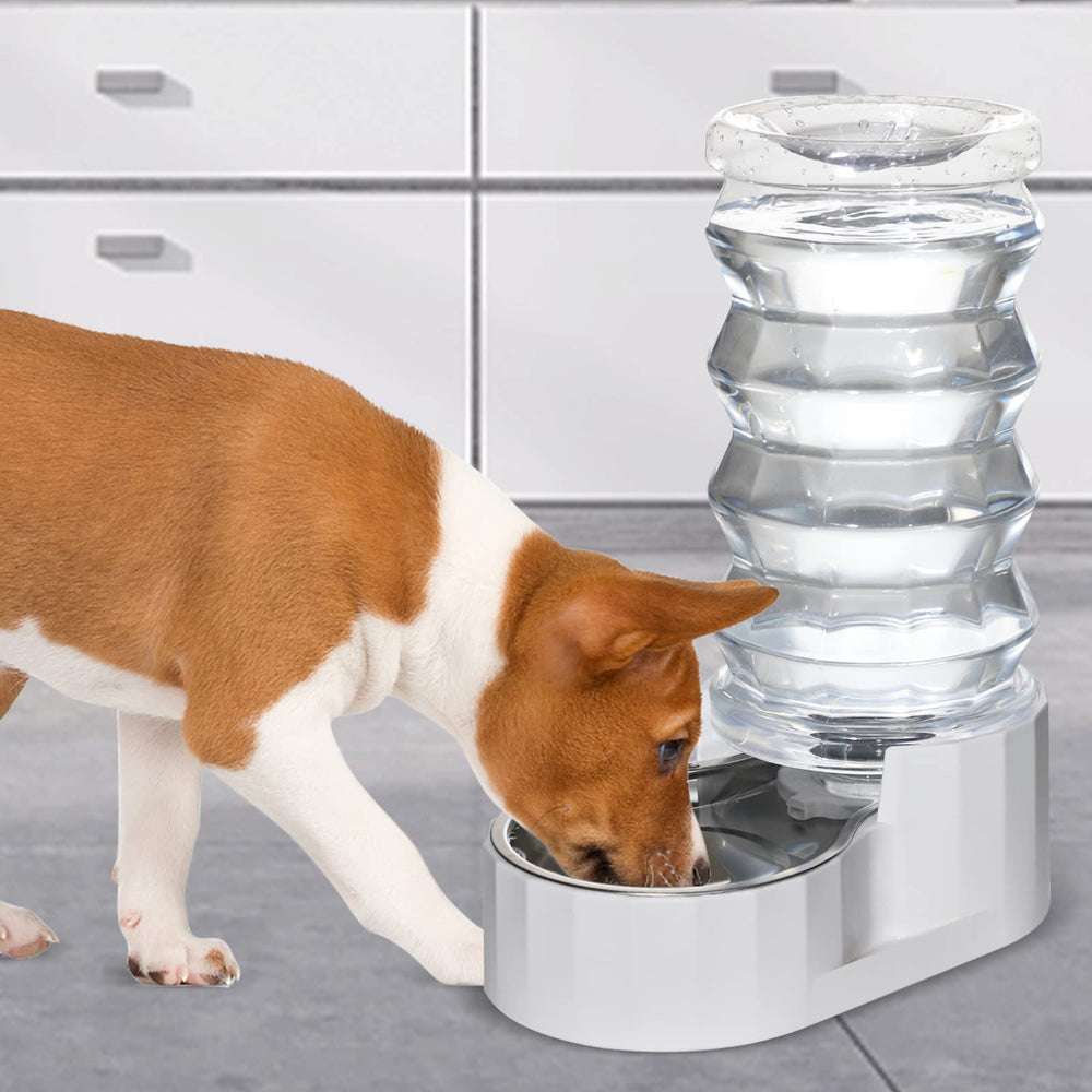 RIZZARI dog drinking from water dispenser setup