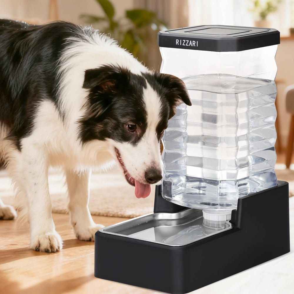 RIZZARI suitable for dogs and cats, great for apartments and offices