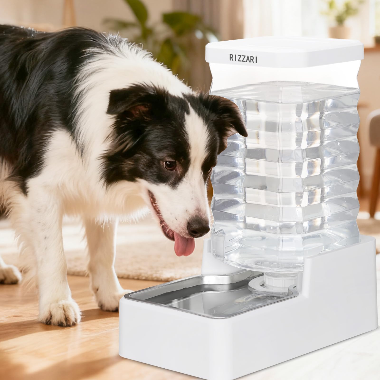 RIZZARI pet hydration setup fits a kitchen corner neatly