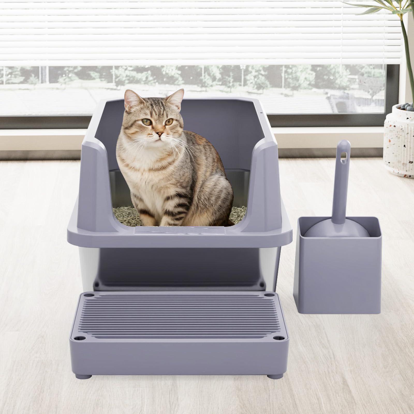 RIZZARI spacious interior supports cats of all sizes and multi-cat households.