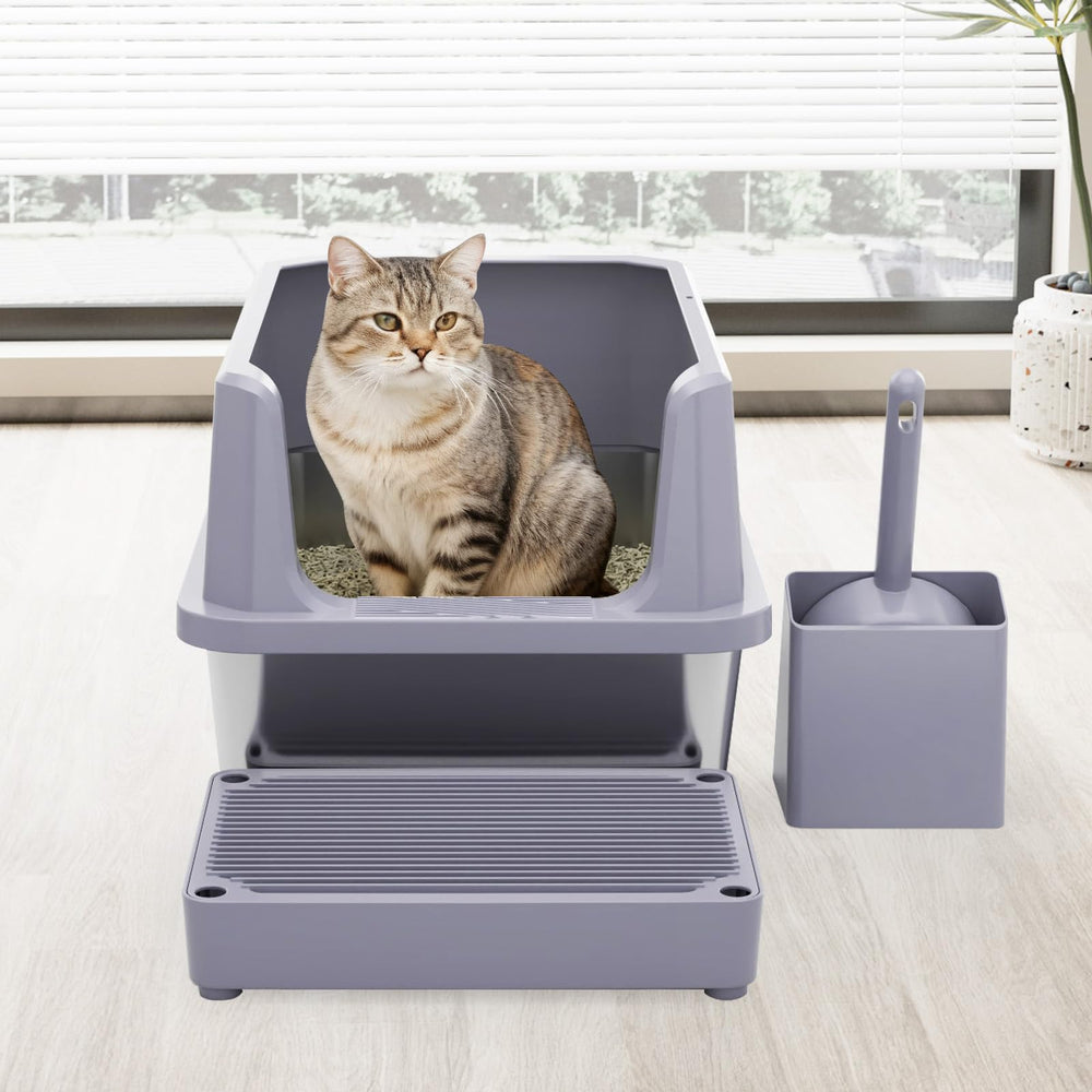 RIZZARI spacious interior supports cats of all sizes and multi-cat households.