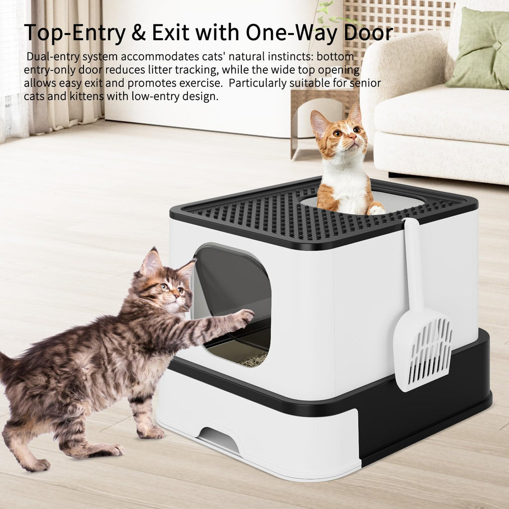 RIZZARI living room setup with litter box blends practicality and discretion