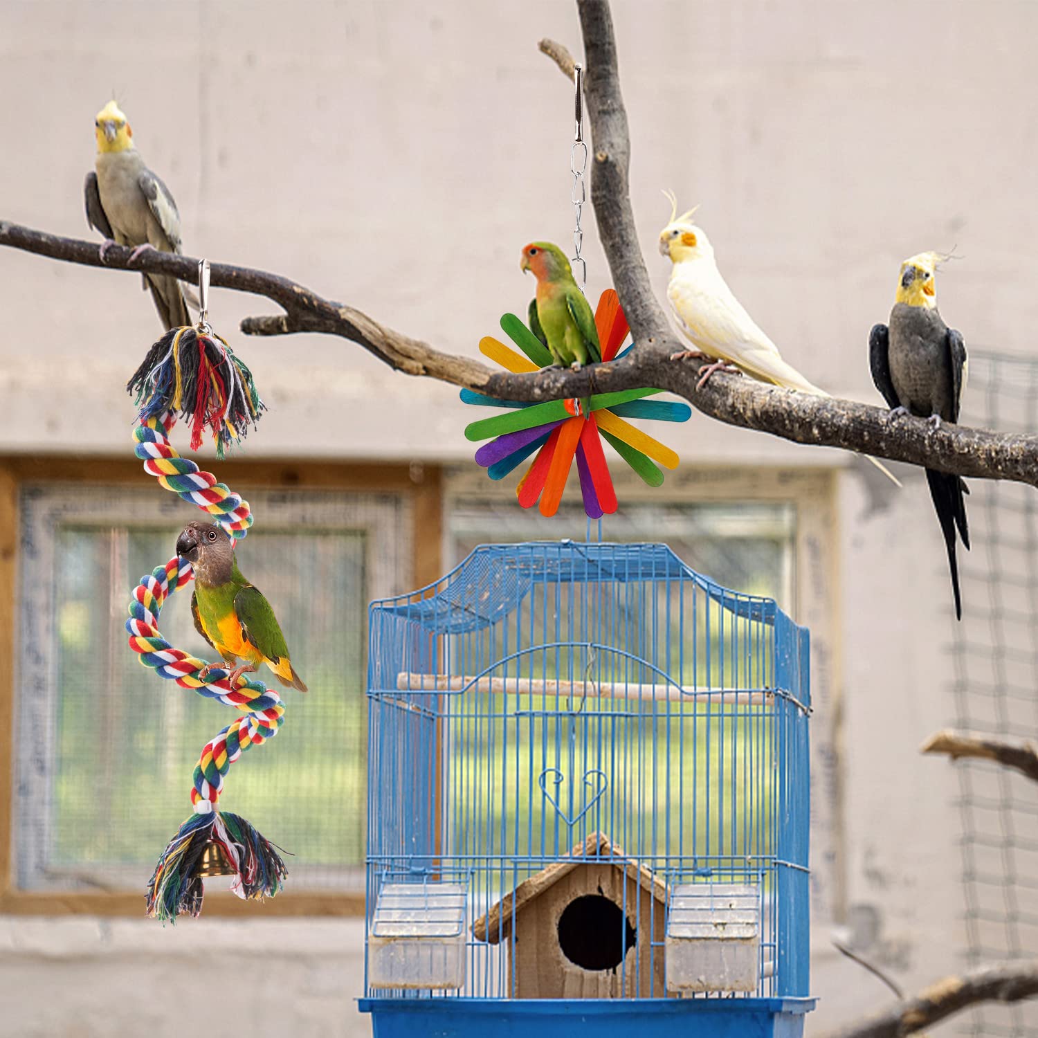 RLRICH beak-trim toy with wooden blocks supports beak conditioning and preening.