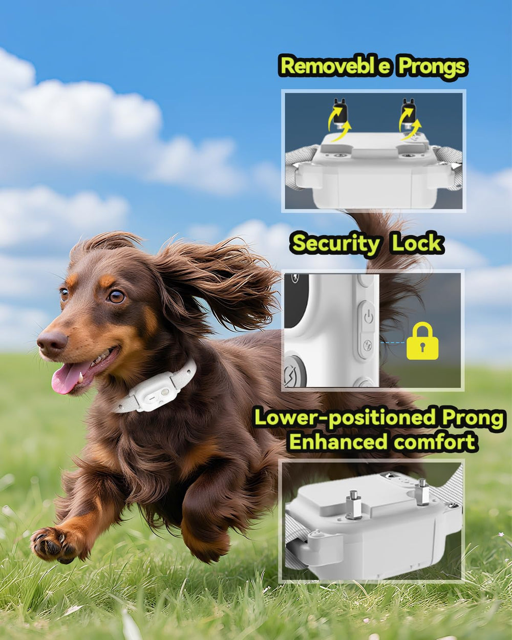 RMOKISIN 2-channel remote enables simultaneous training for two dogs.