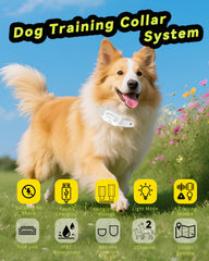 RMOKISIN training remote shown for quick controlled commands outdoors