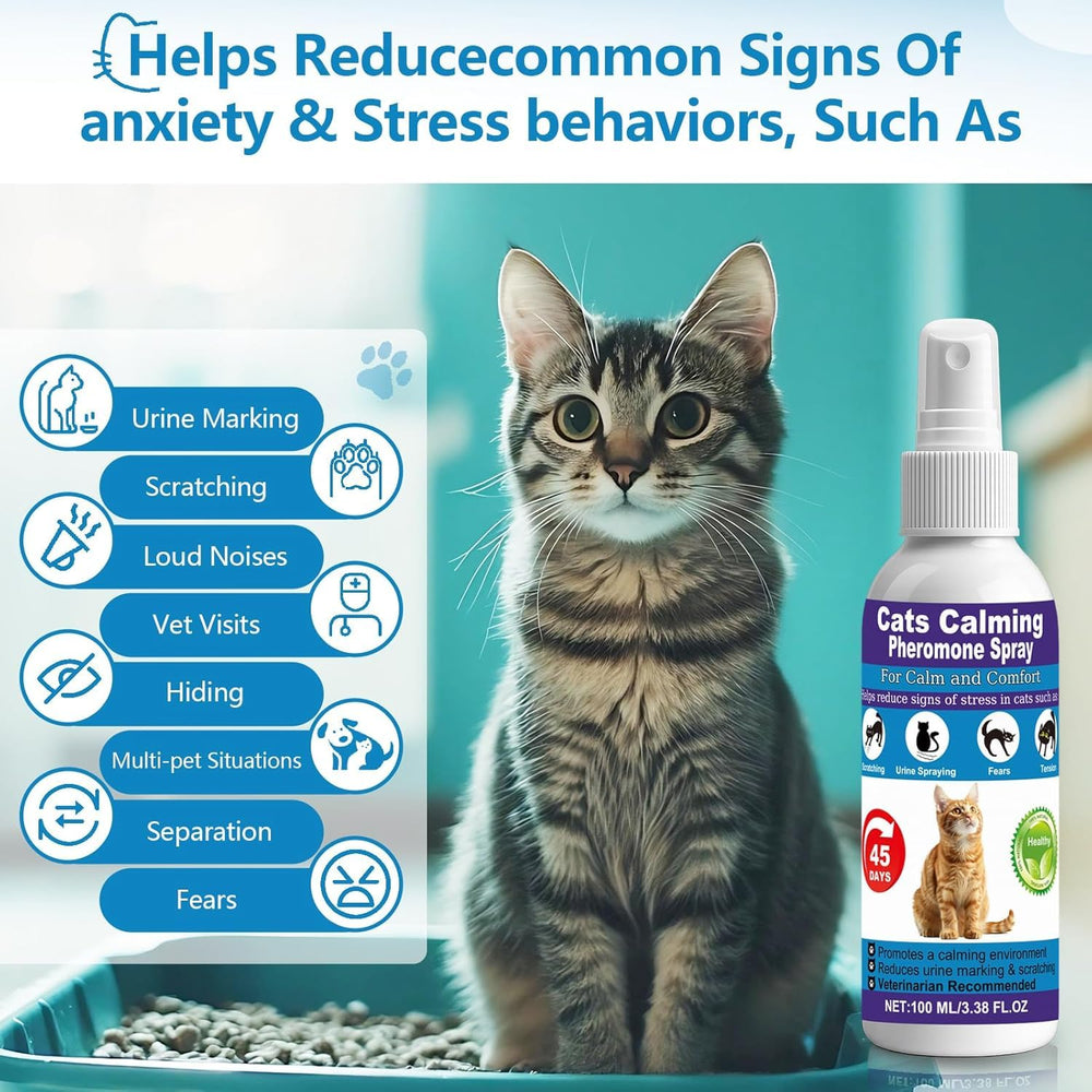 RNLBNMP spray near cat resting area supports relaxed mood