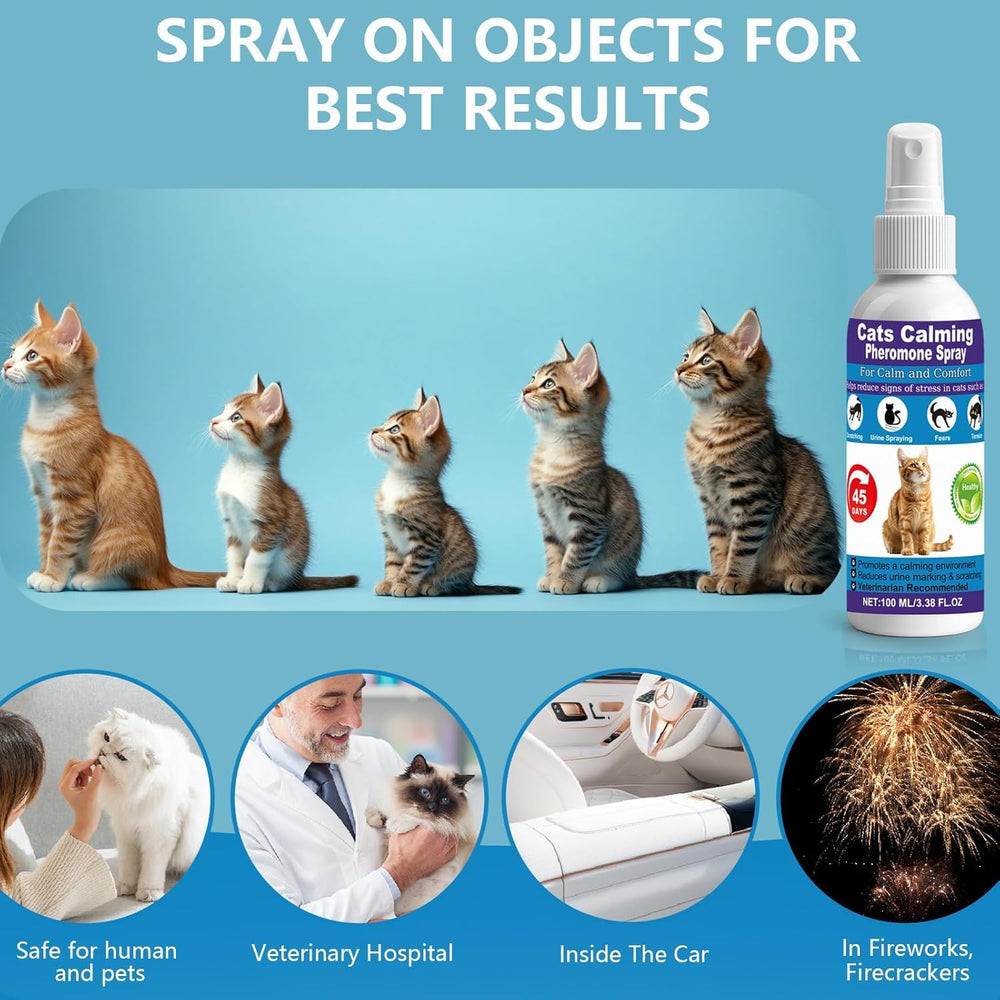 RNLBNMP travel setup with spray for multi-cat households