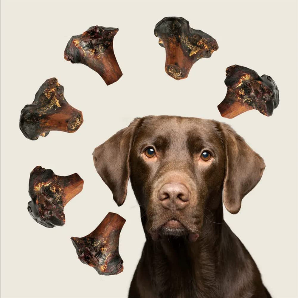 ROAM all-natural single-ingredient chew emphasizes clean, hormone-free protein.