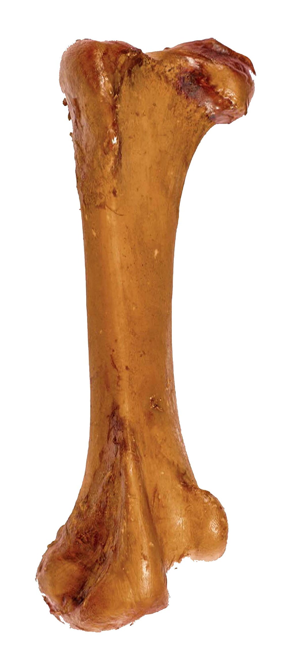 ROAM Boss-trich ostrich bone durable chew for strong chewers