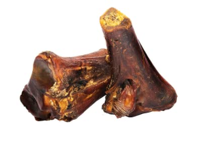 ROAM Cape Ostrich Knuckle Bone close-up with textured surface for splinter-free chewing