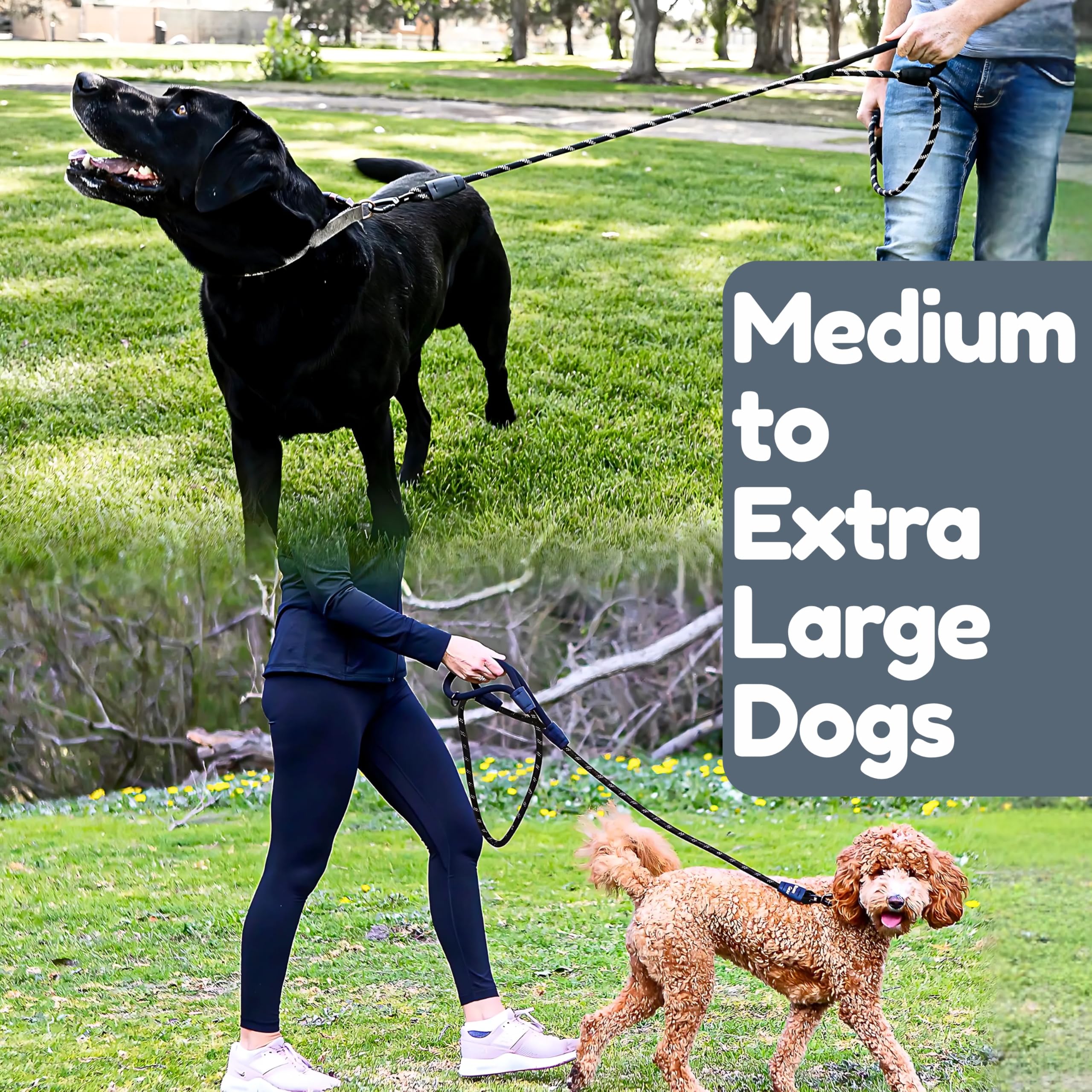 Roam Gear heavy-duty leash suitable for dogs of all sizes.
