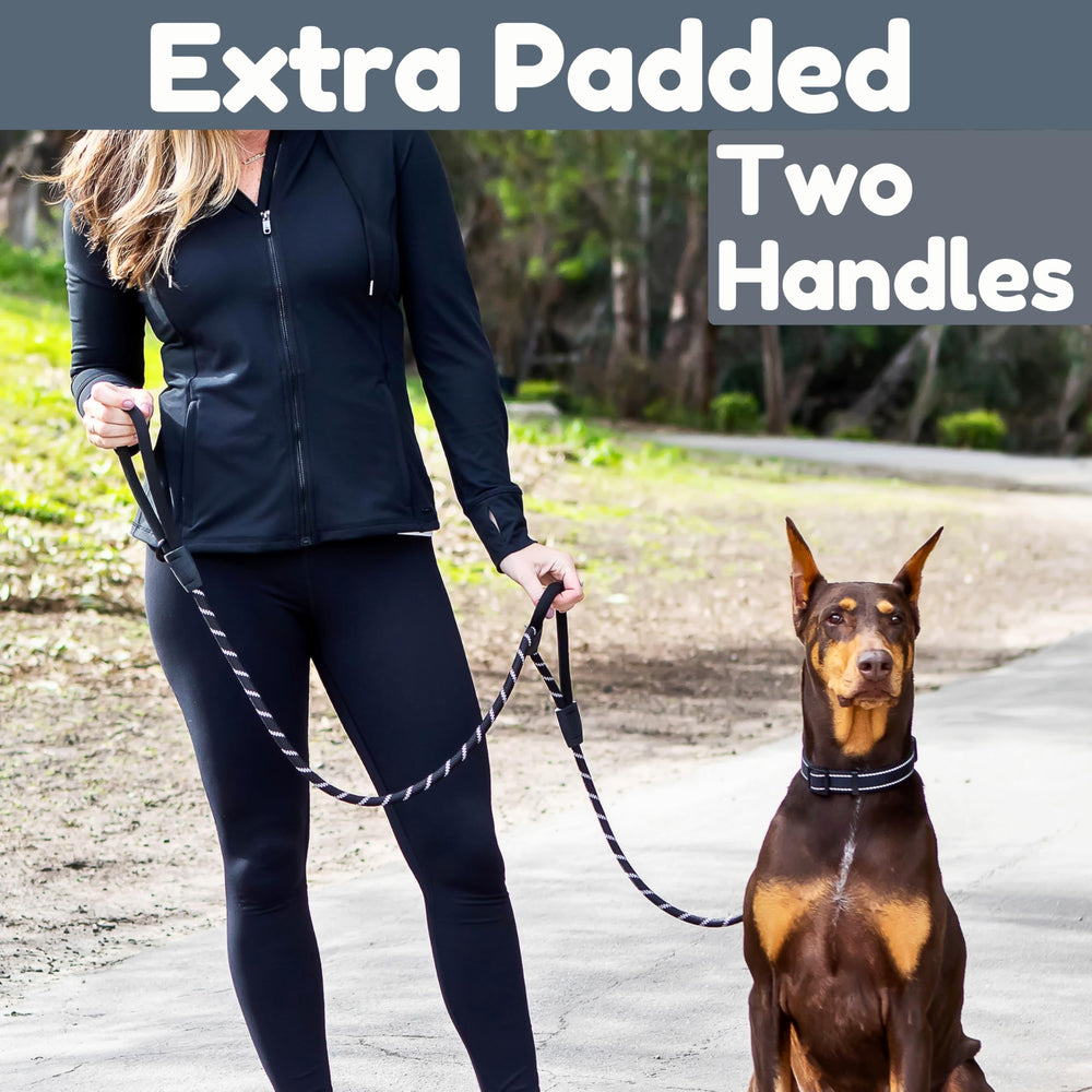 Roam Gear leash showing two padded handles for added control.