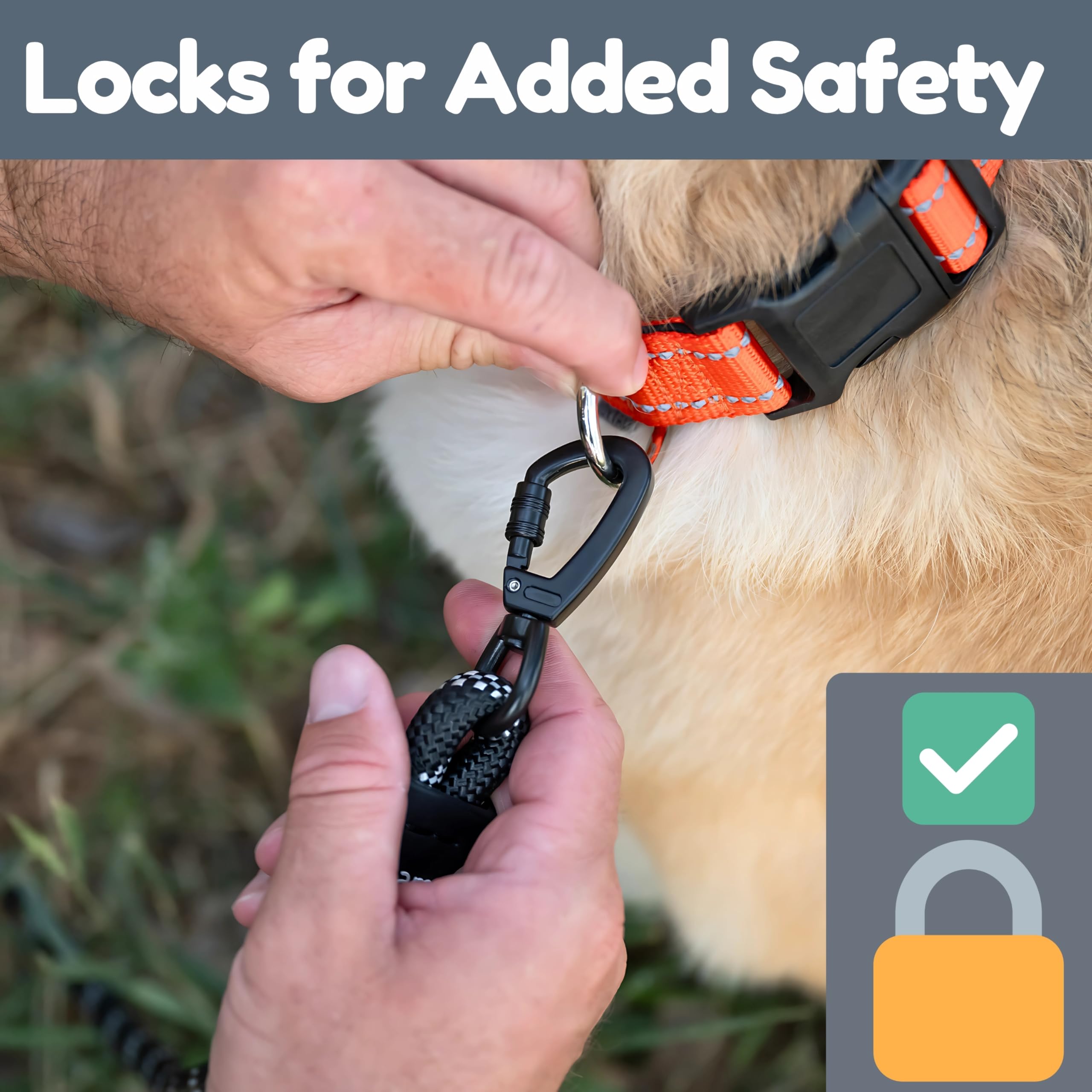 Roam Gear weatherproof leash ready for outdoor adventures.