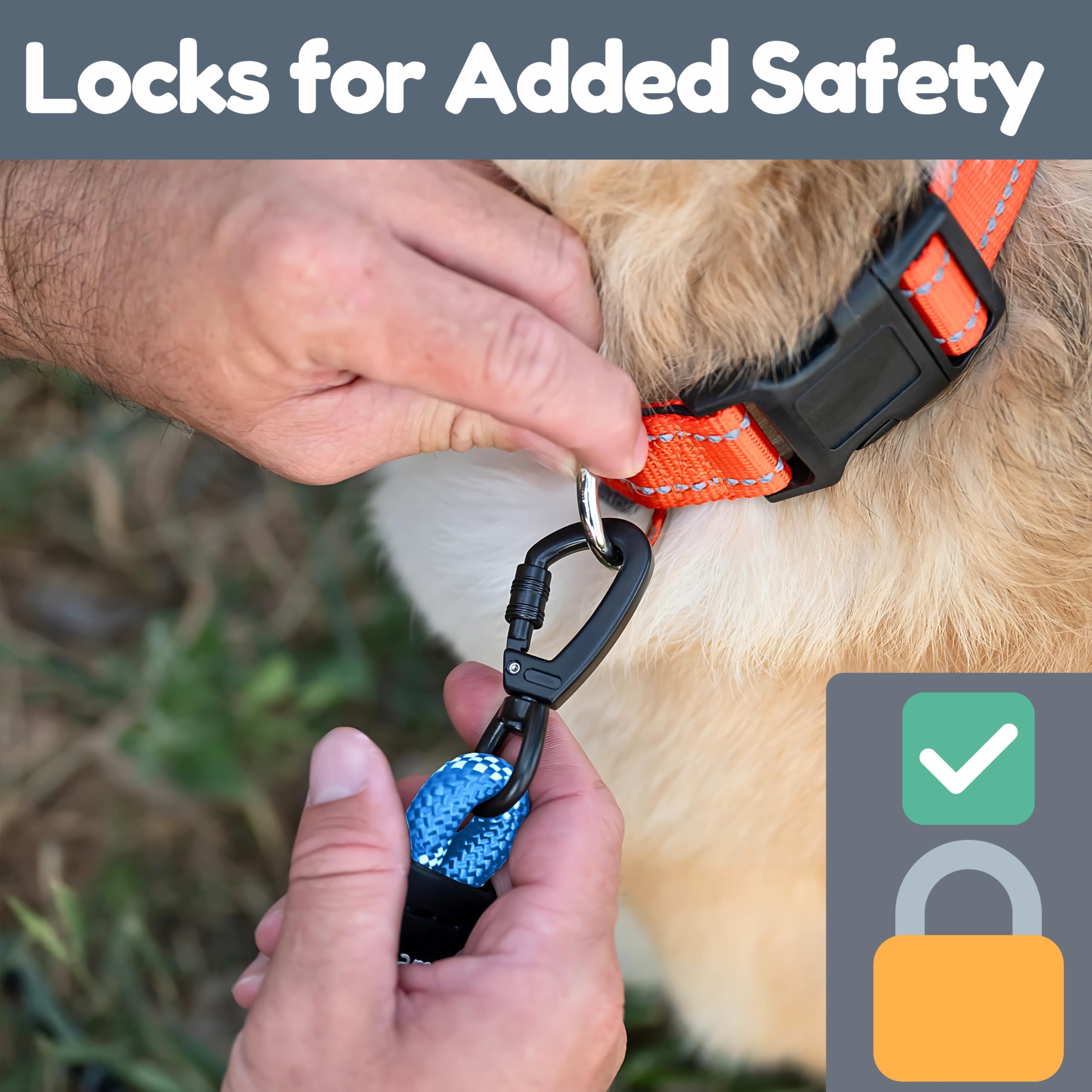 Roam Gear weatherproof heavy-duty rope leash withstands outdoor use